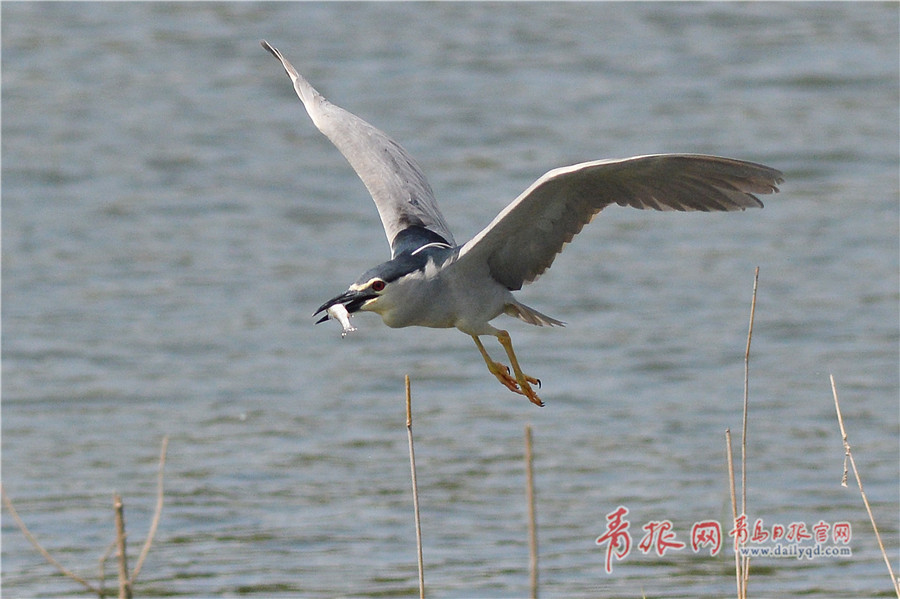  战神4装备怎么升级