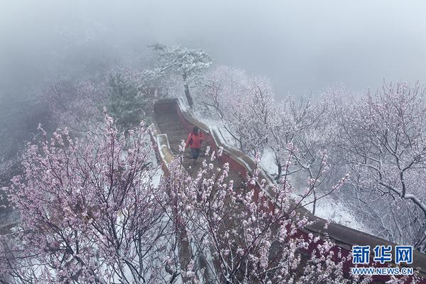 喋血复仇巴雷特武器怎么样