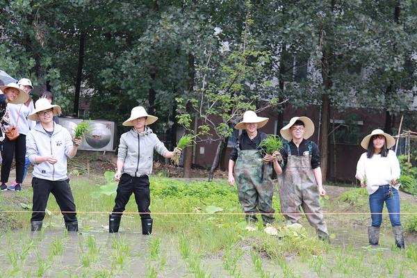 鬼谷八荒拍卖会遇到疯狂抬价NPC怎么办